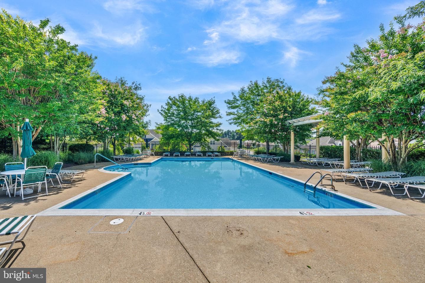 13 Tremont Drive photo 50