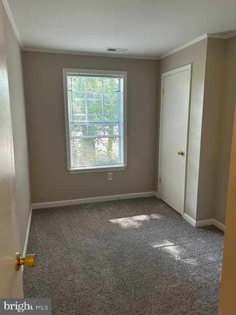 109 Water Fountain Way #102 photo 15