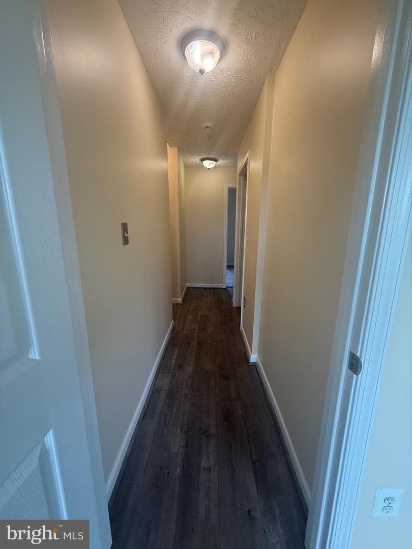 7804 Creek Shore Way #65 photo 18