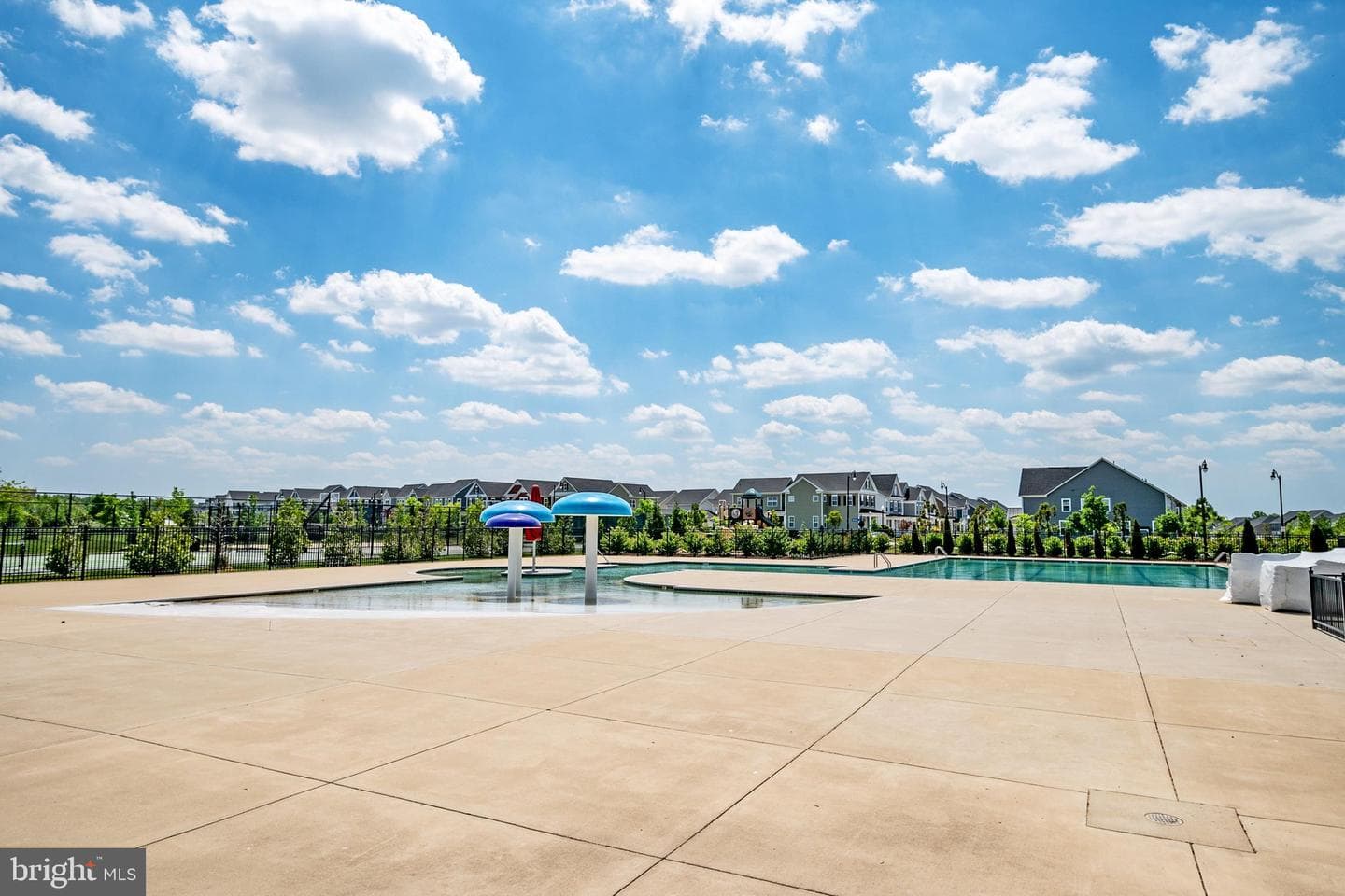 2446 Heath Aster Court photo 34