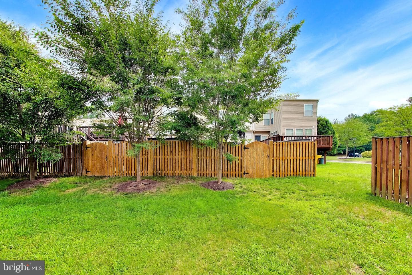 8703 Thornbrook Drive photo 24
