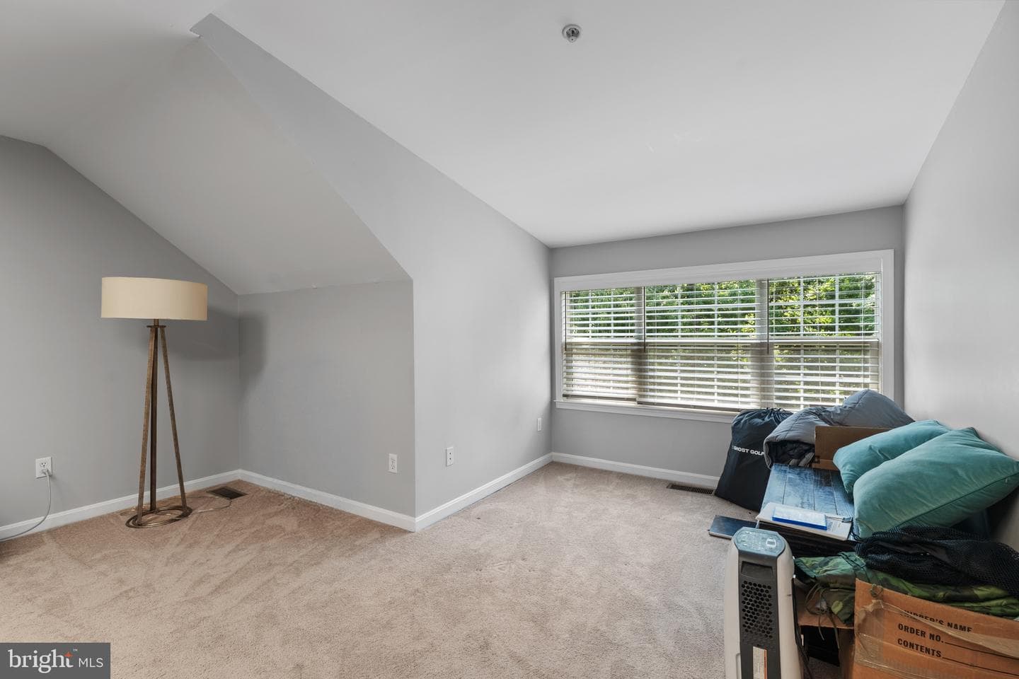 633 Snow Goose Lane photo 46