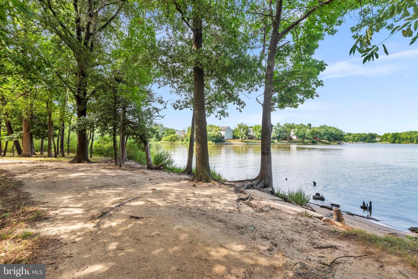 1315 Cox Cove Court photo 53