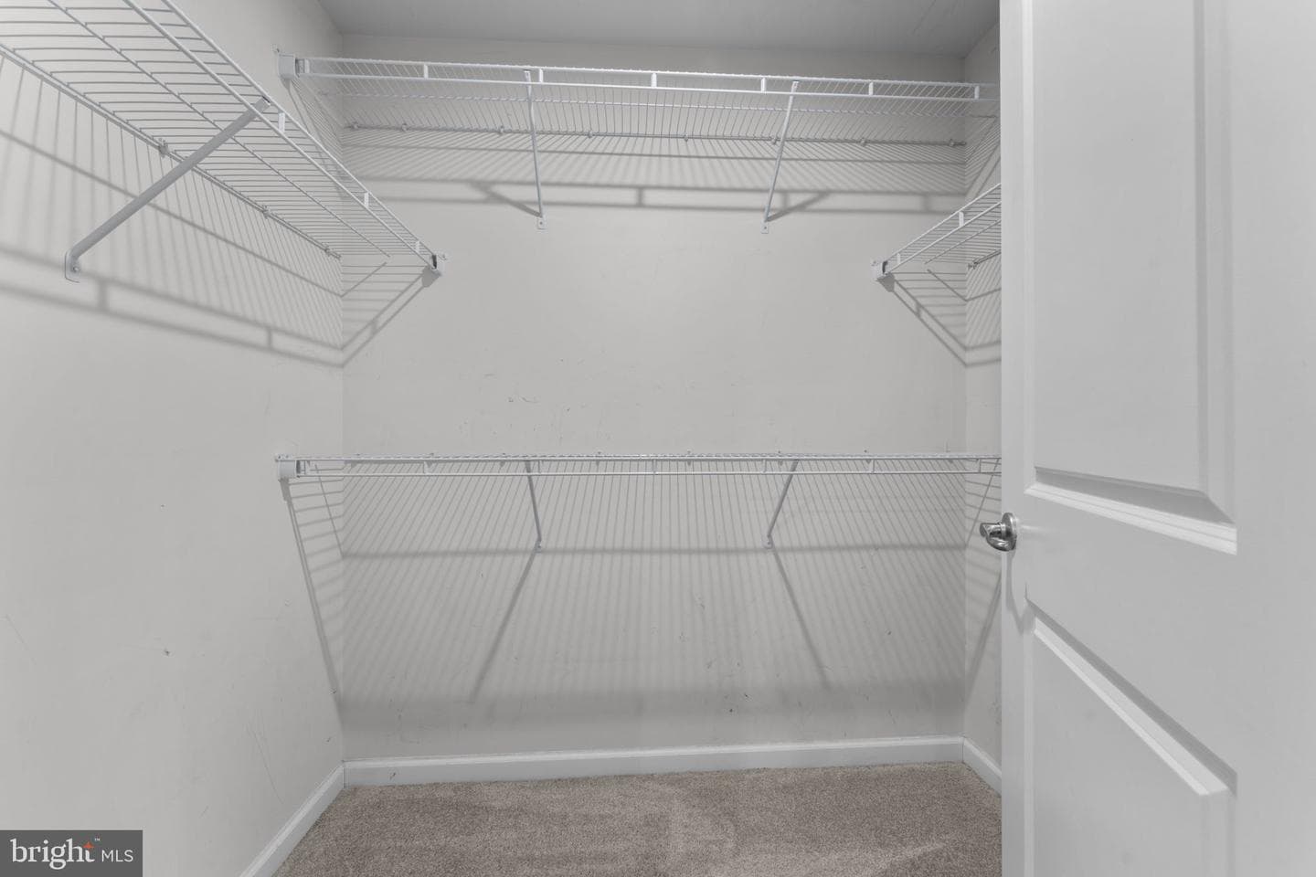 8407 Orchard Harvest photo 25