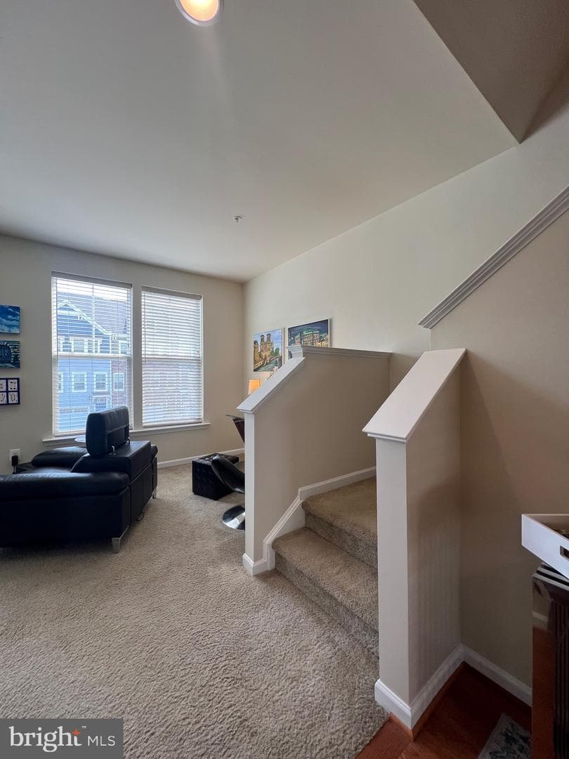 1036 Edenberry Way photo 44