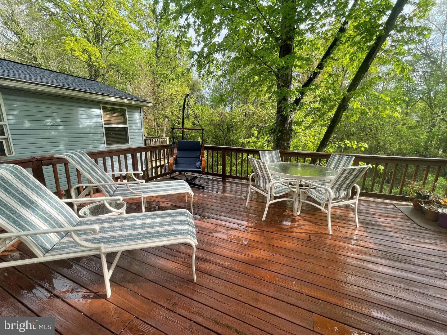 413 Blossom Tree Court photo 5