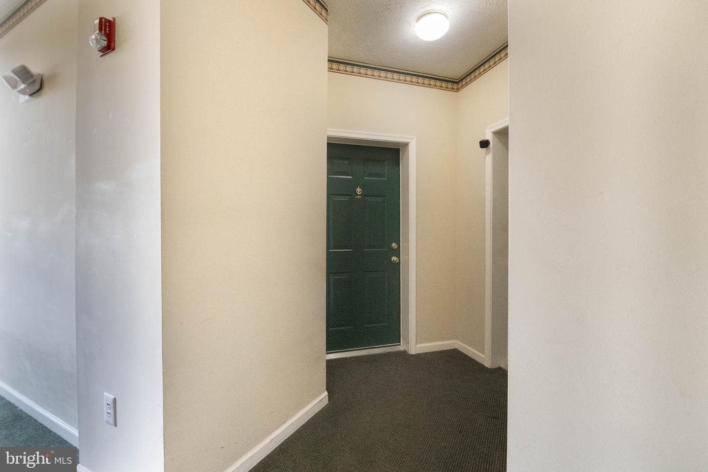 2400 Chestnut Terrace Court #201 photo 23