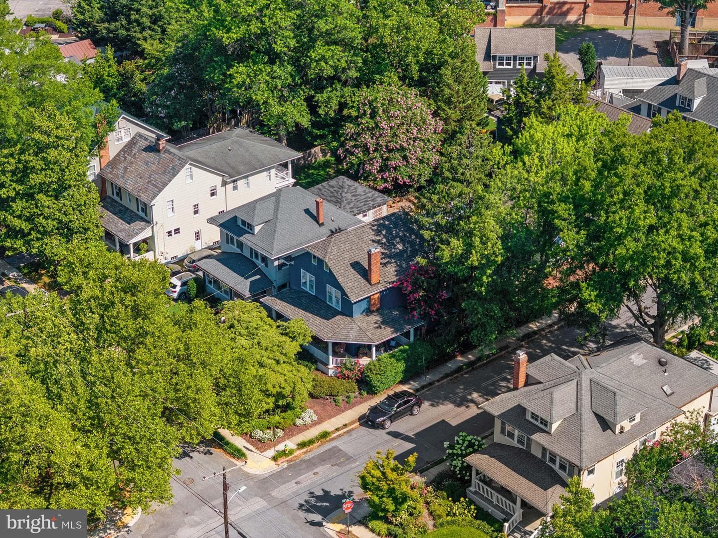 62 Southgate Avenue photo 13