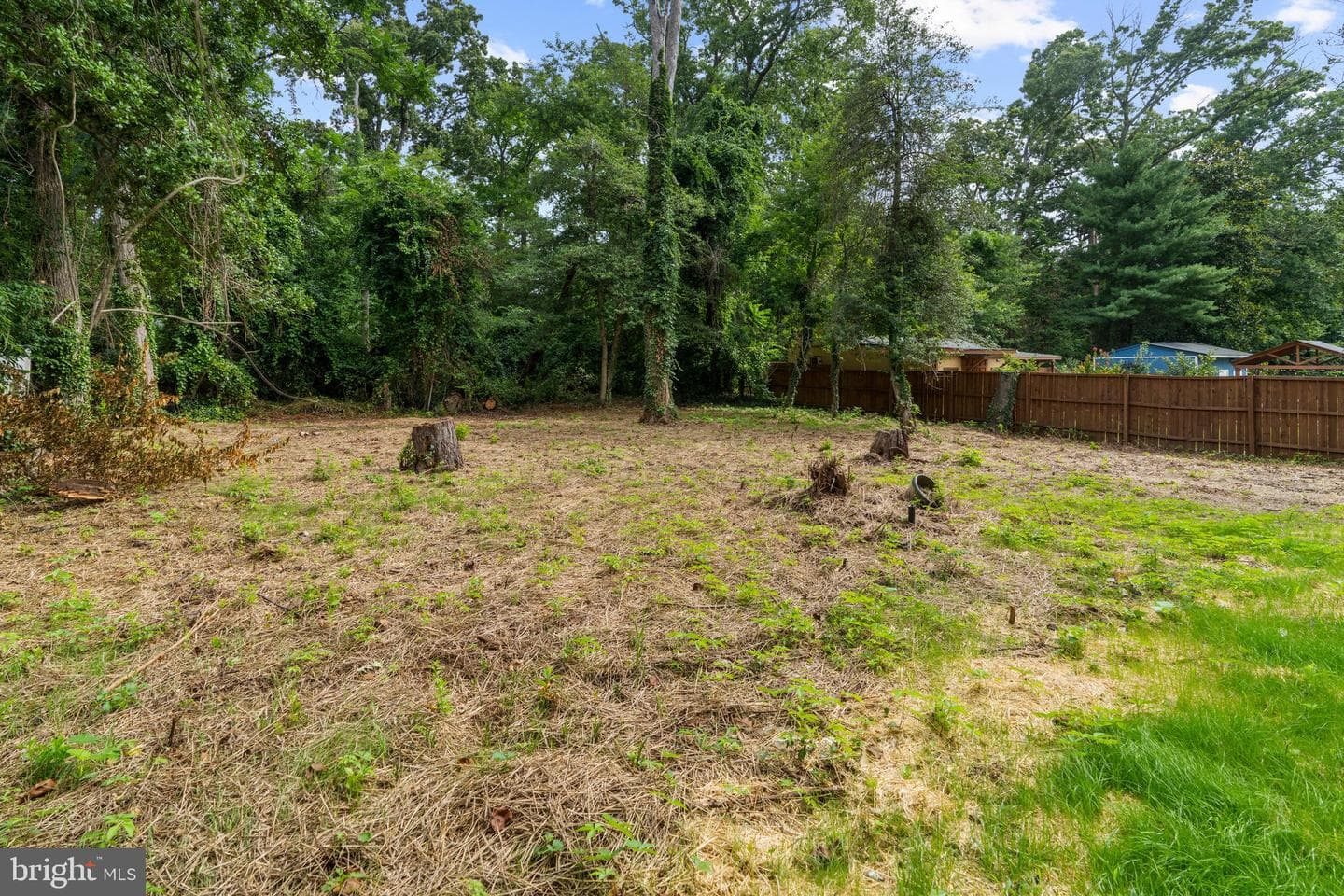 444 Ruth Road photo 37