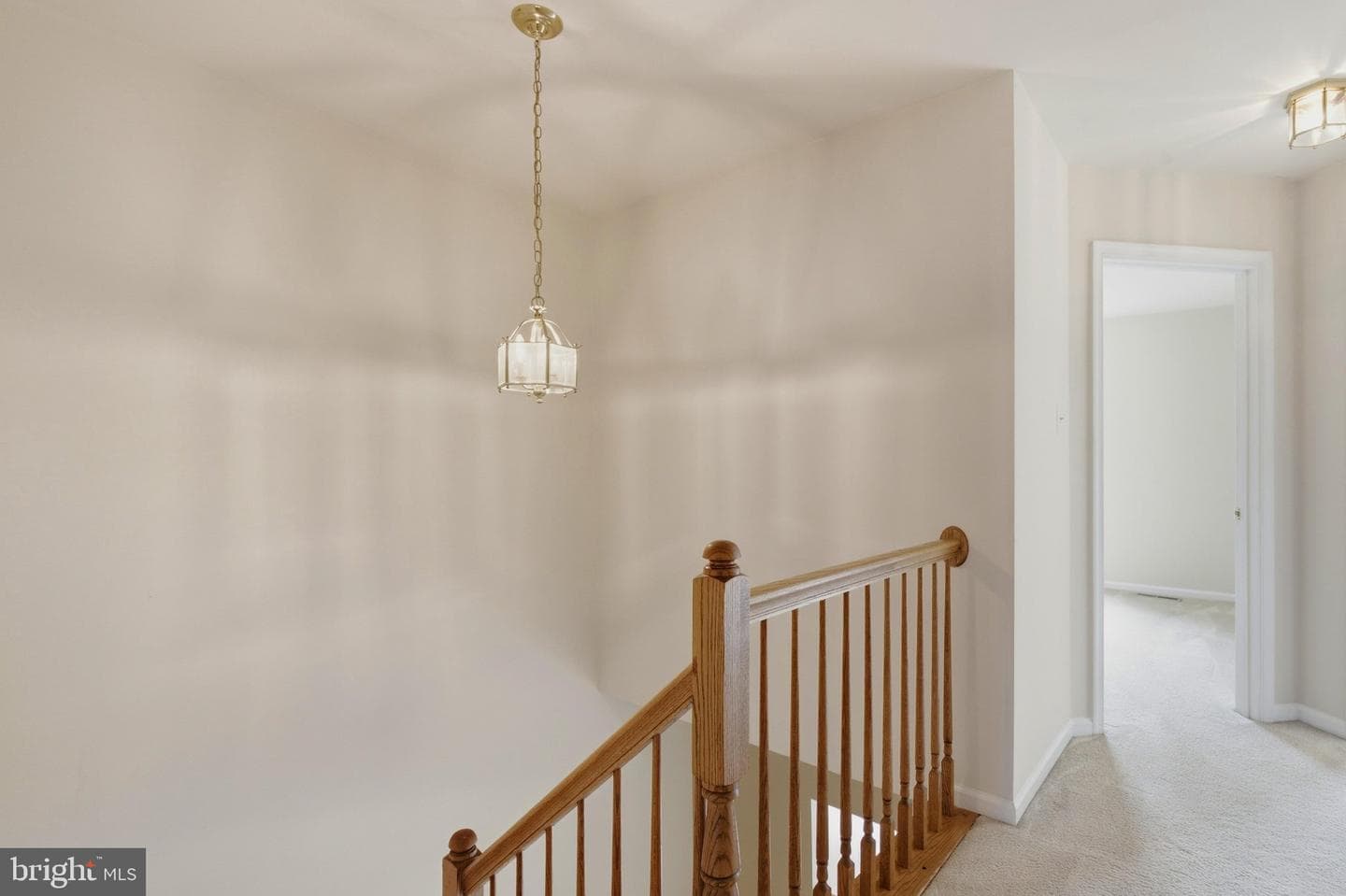 8609 Woodland Manor Drive photo 36