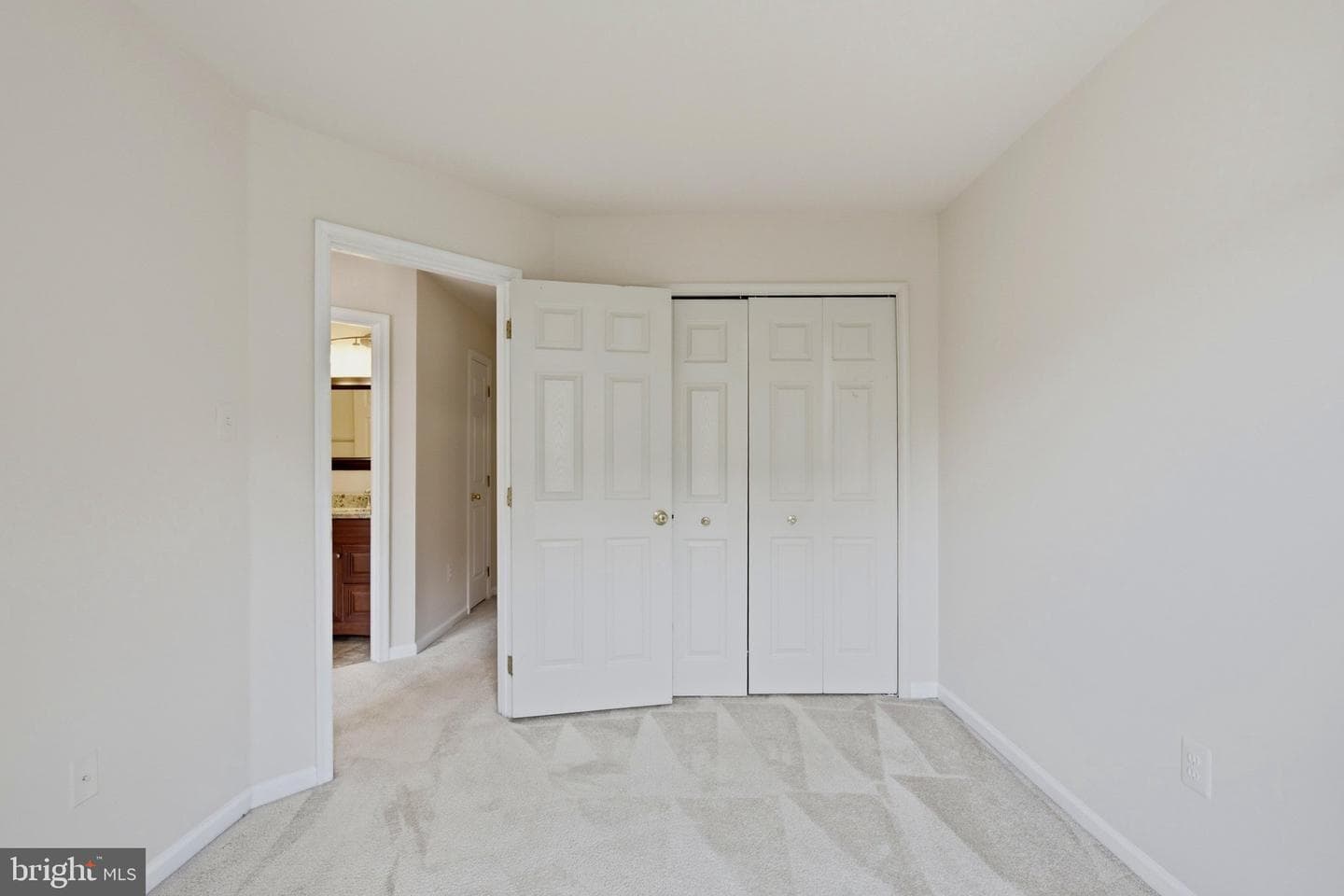 8609 Woodland Manor Drive photo 38