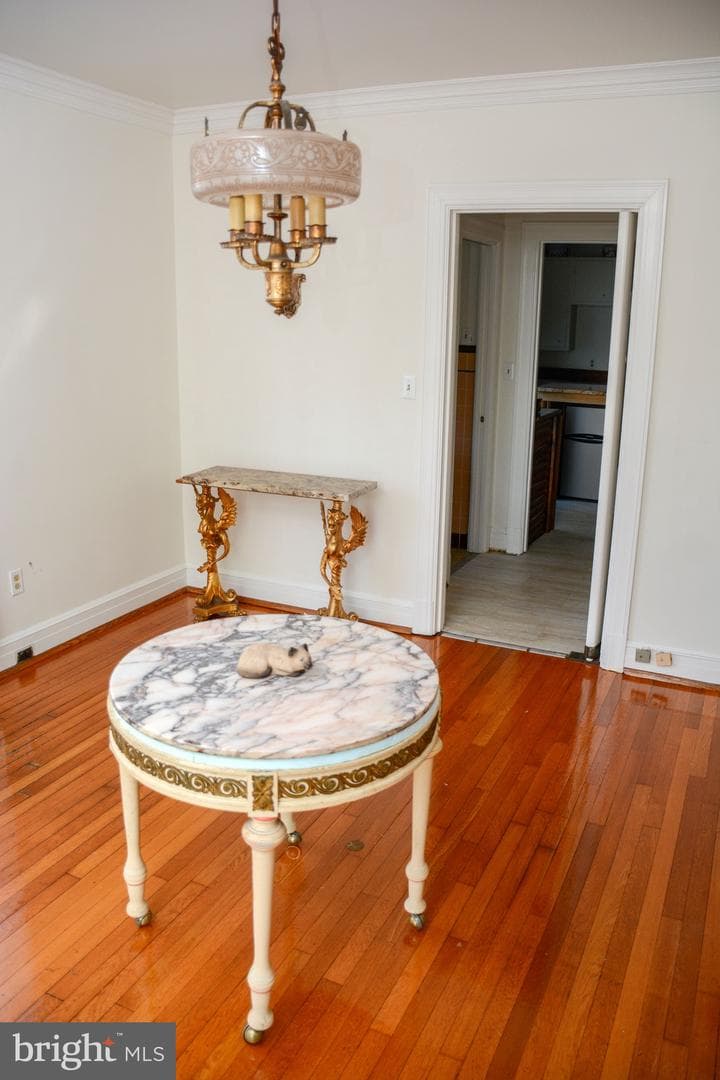 831 Windsor Road photo 15
