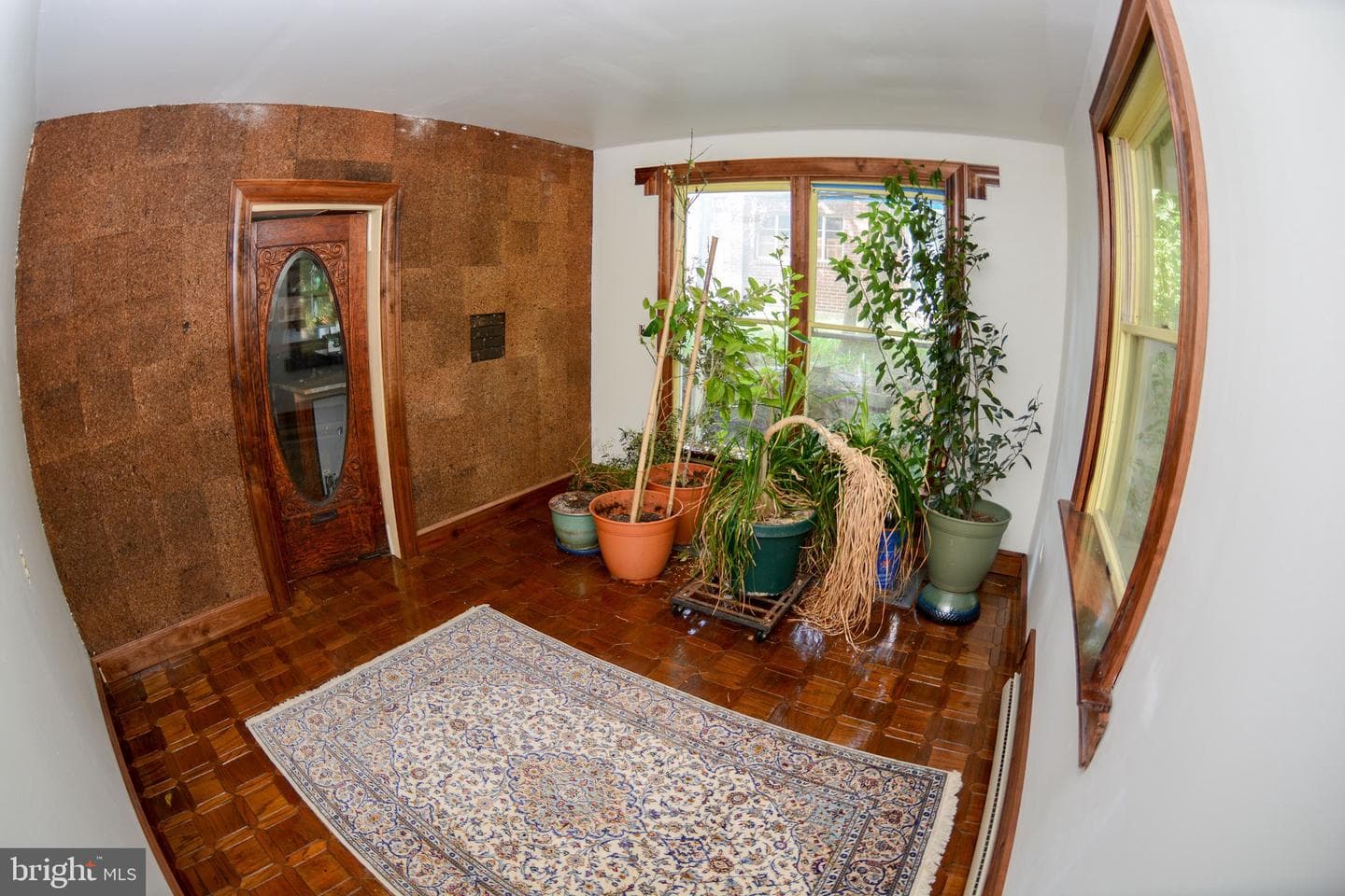 831 Windsor Road photo 21