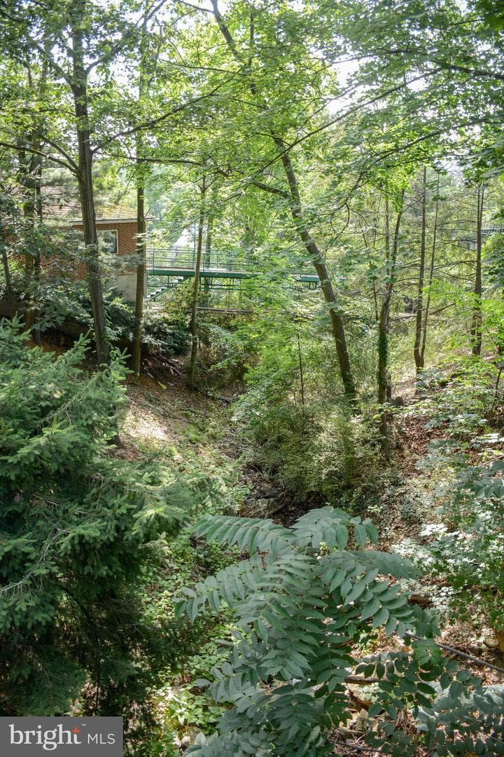 831 Windsor Road photo 71