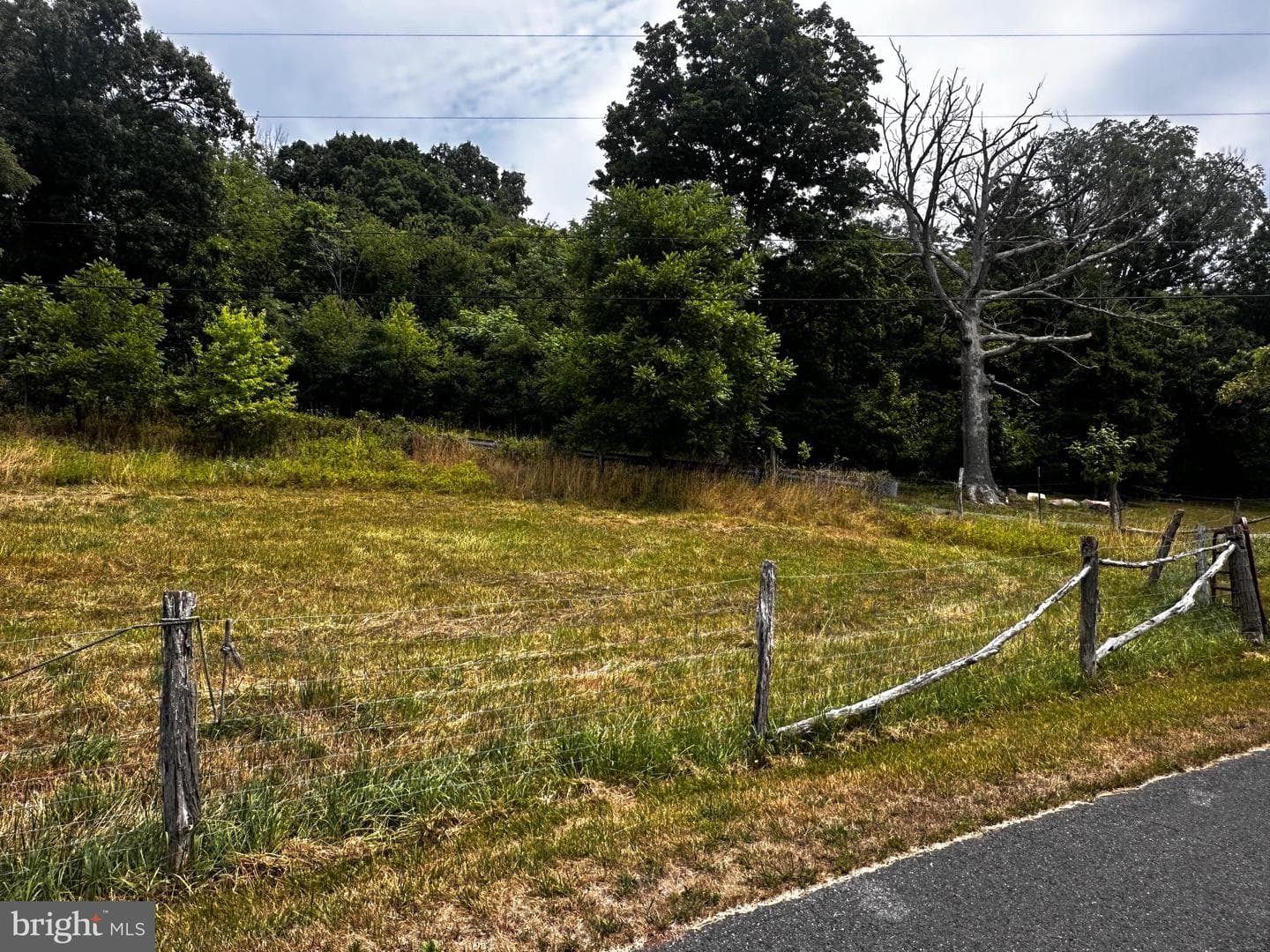 24519 Stoney Run Road SW photo 15
