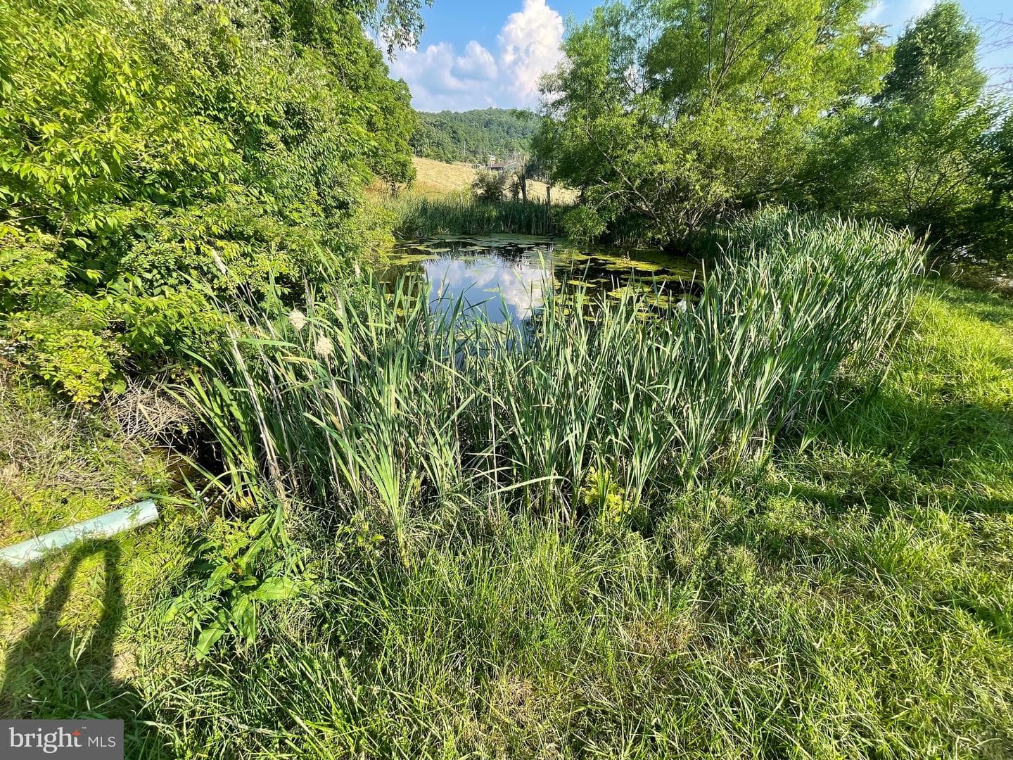 24519 Stoney Run Road SW photo 29