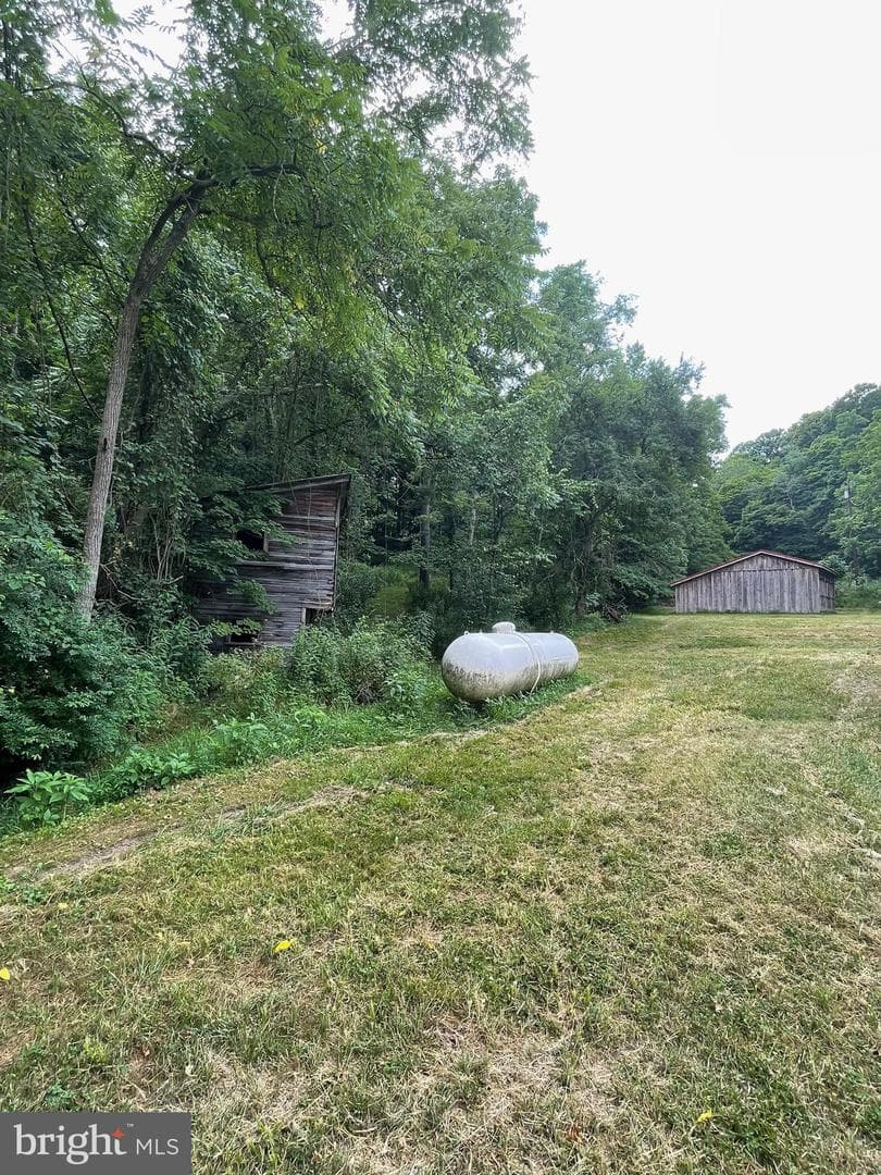 Precious Springs Road photo 12