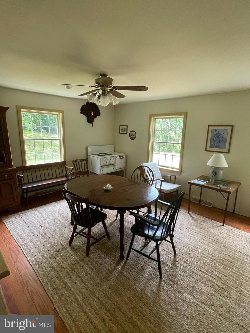 Precious Springs Road photo 16