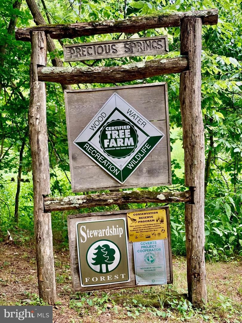 Precious Springs Road photo 2