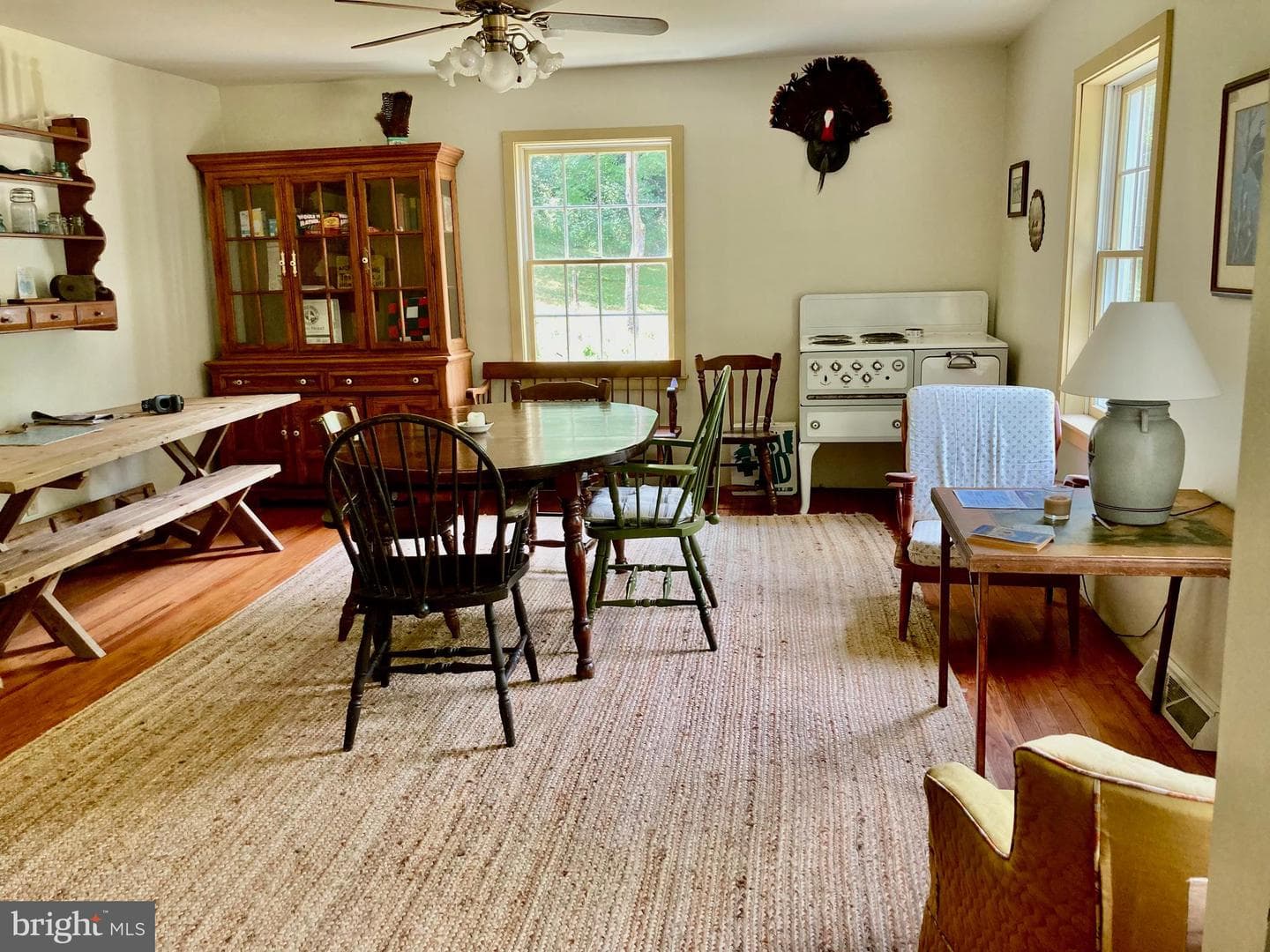 Precious Springs Road photo 34