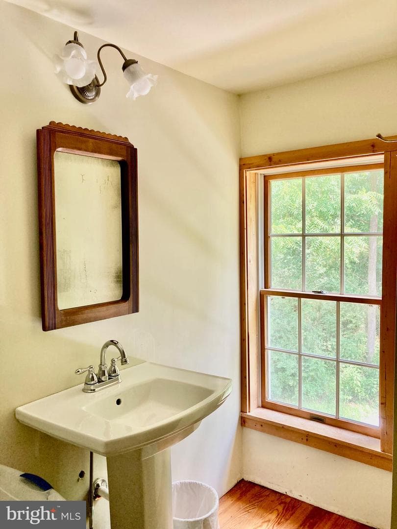 Precious Springs Road photo 39