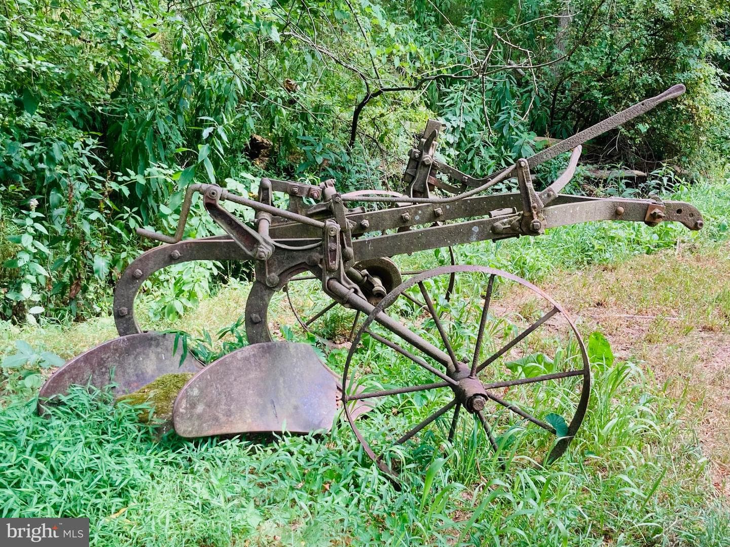 Precious Springs Road photo 55