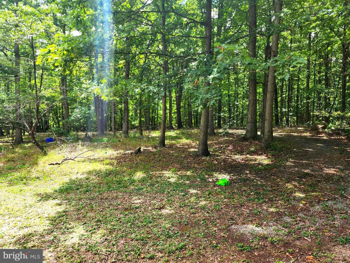 18305 Foxfire Lane SW photo 15