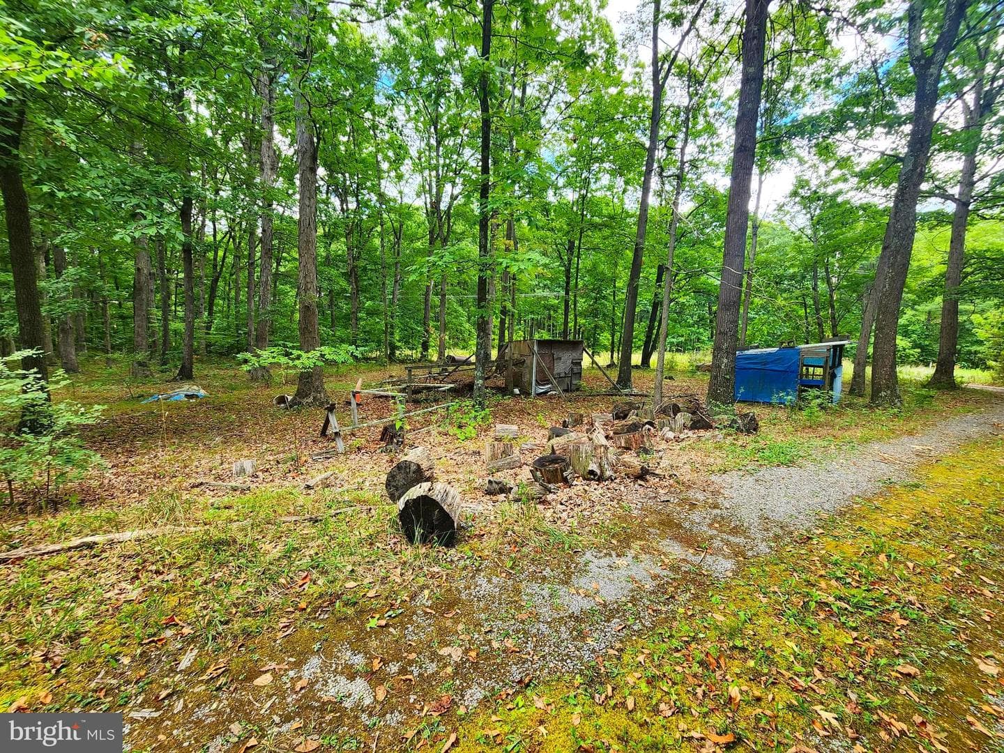18305 Foxfire Lane SW photo 16