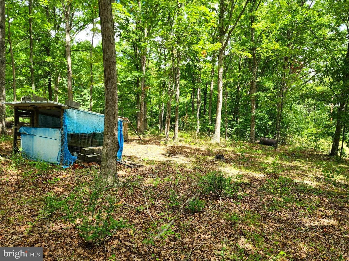 18305 Foxfire Lane SW photo 17