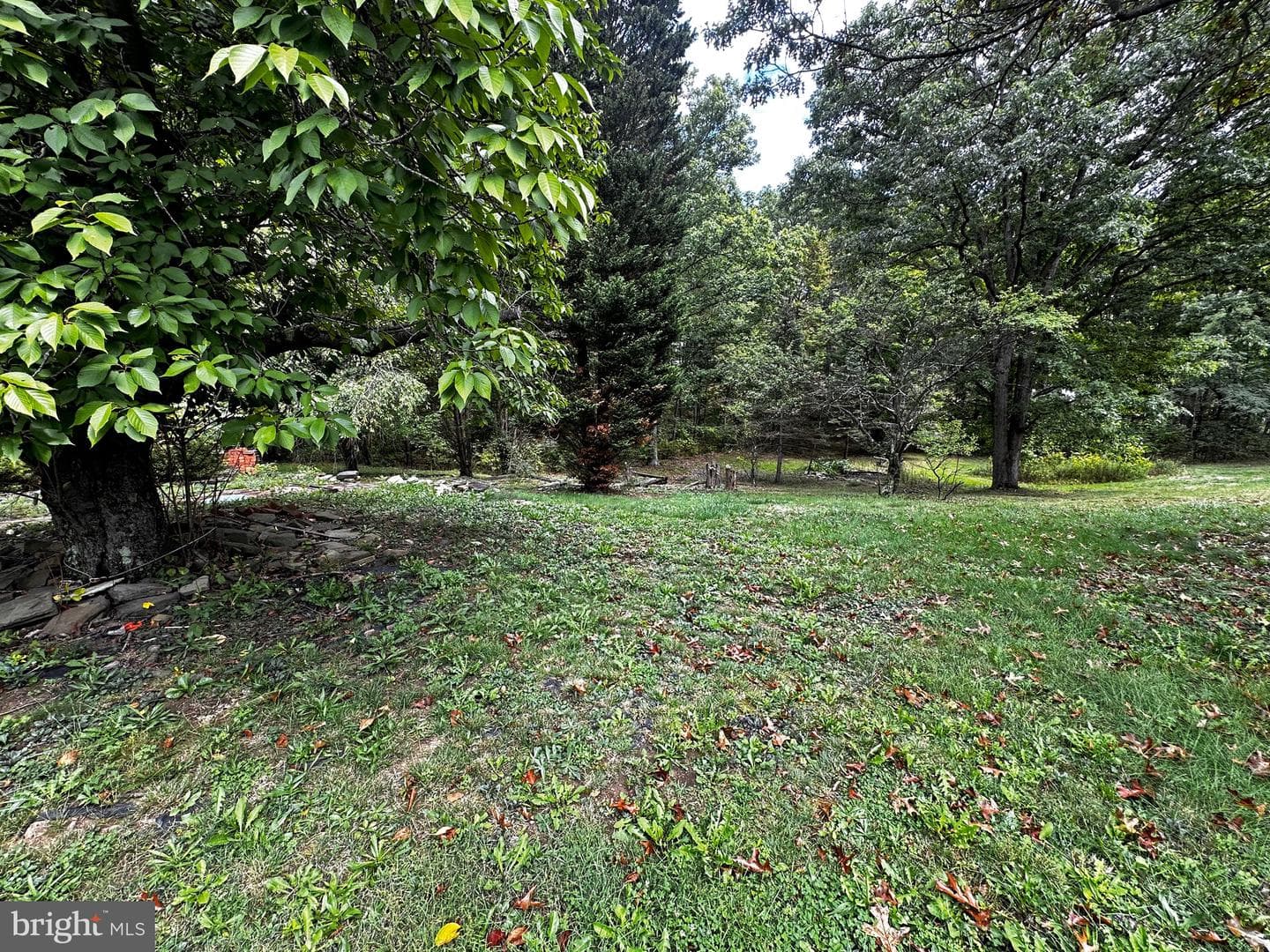 23720 Rocky Ridge Road photo 15