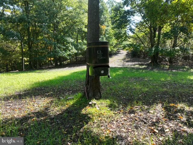 0 Weires Avenue photo 116