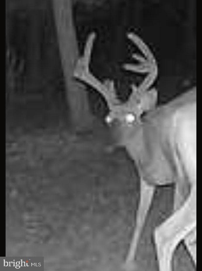 0 Weires Avenue photo 117