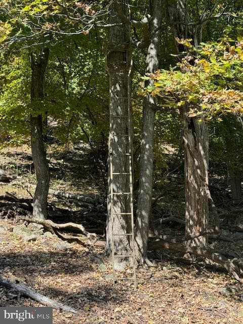 0 Weires Avenue photo 137