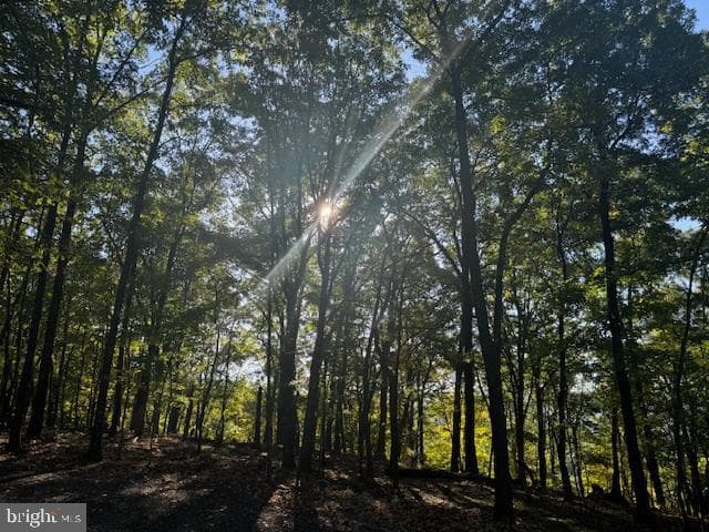 0 Weires Avenue photo 83