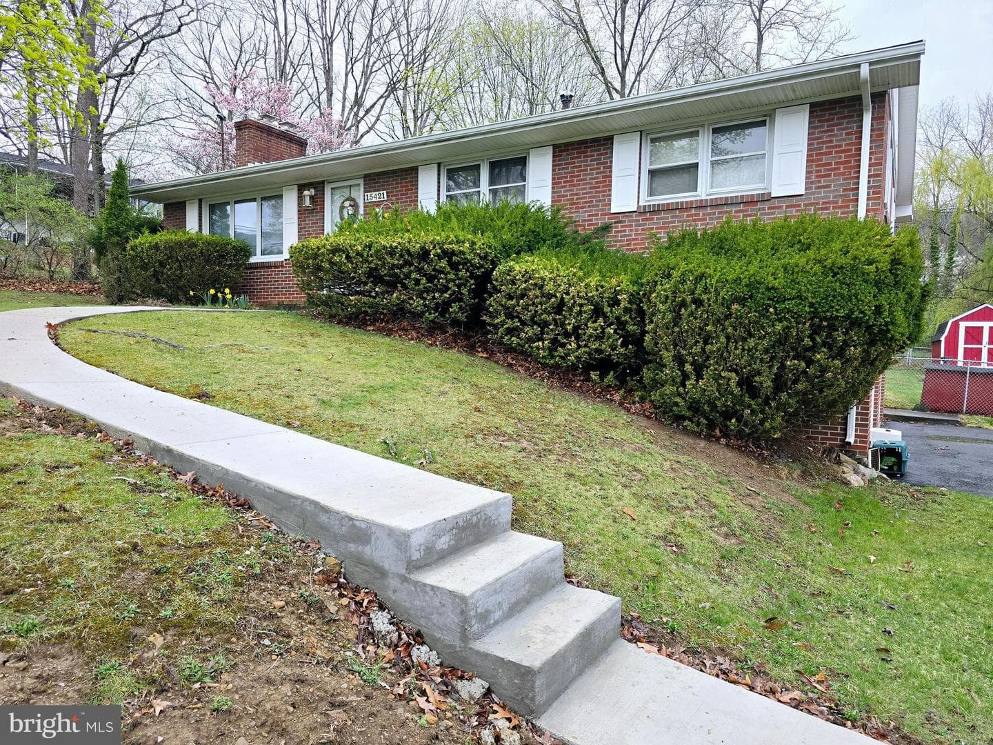15421 Shamrock photo 2