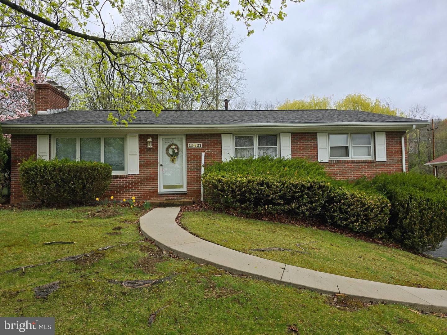 15421 Shamrock photo 34