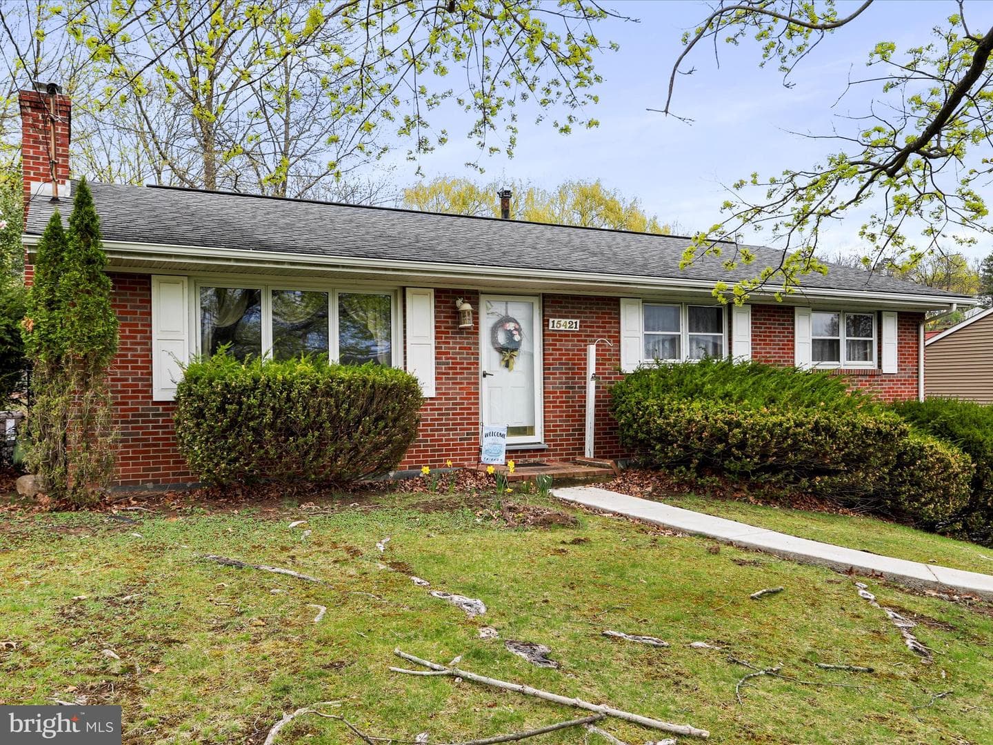 15421 Shamrock photo 39