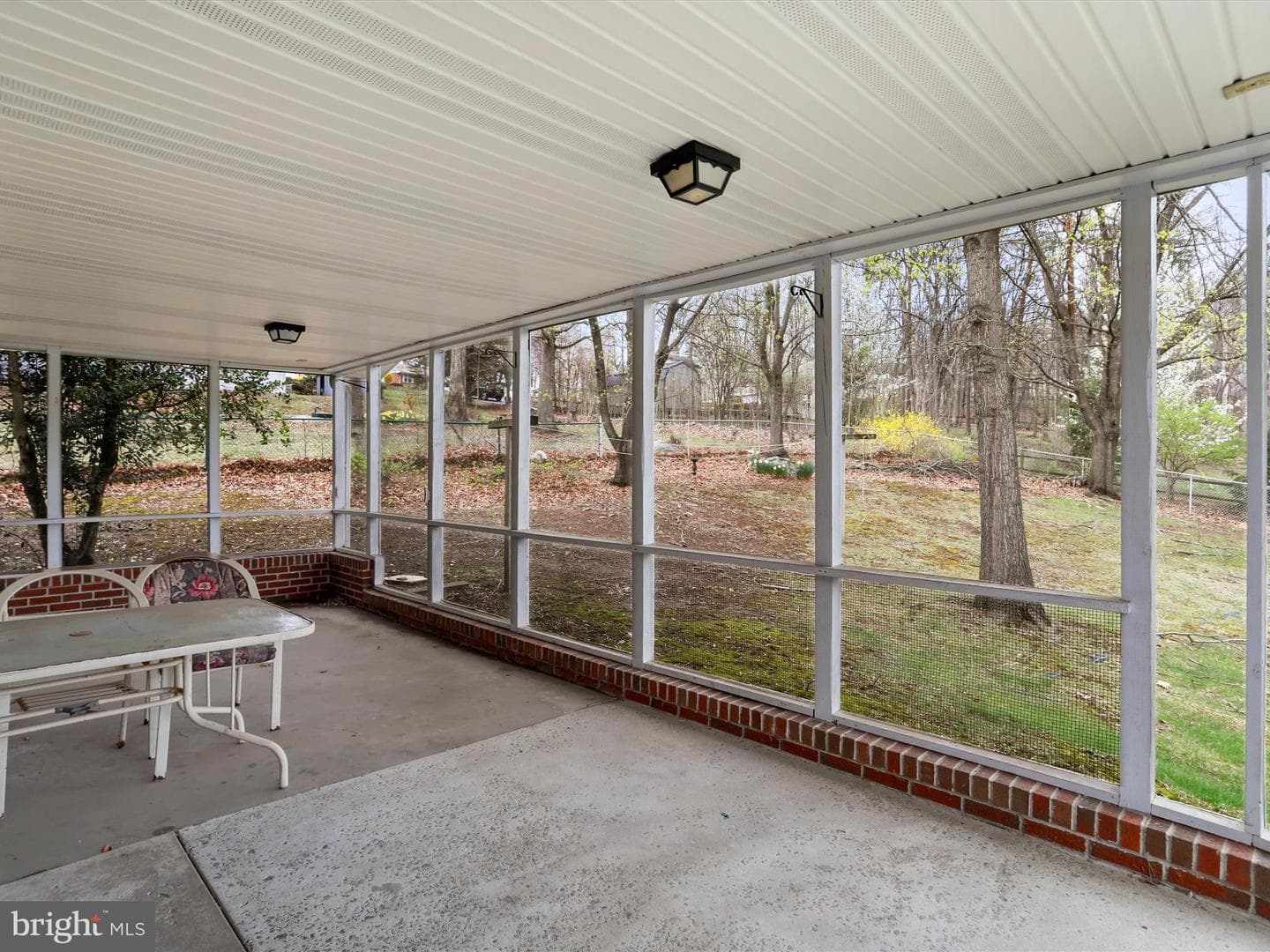 15421 Shamrock photo 9