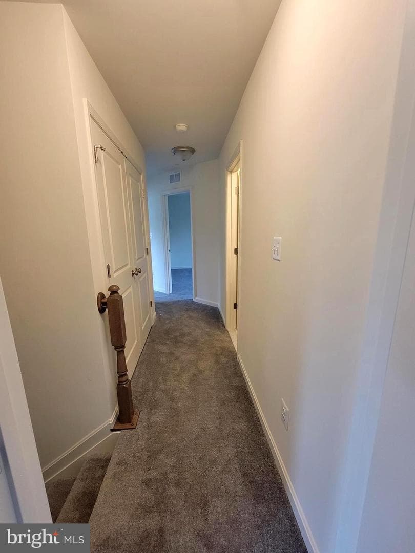 10011 Carrington Court photo 29