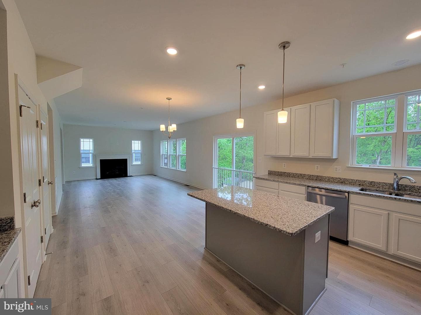 10011 Carrington Court photo 5