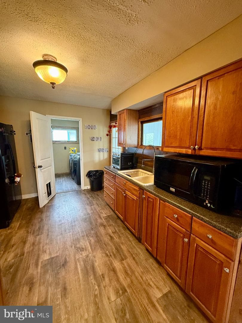 10124 Hummingbird Street photo 12