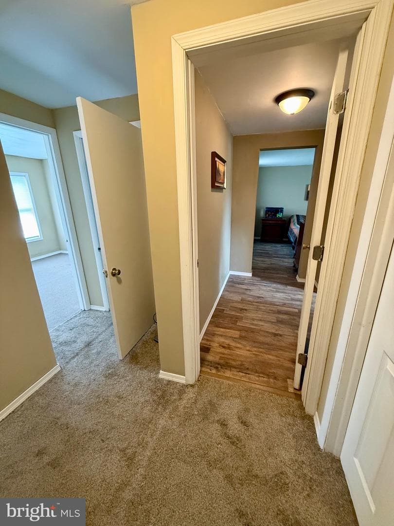 10124 Hummingbird Street photo 18