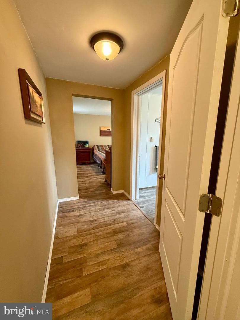 10124 Hummingbird Street photo 19
