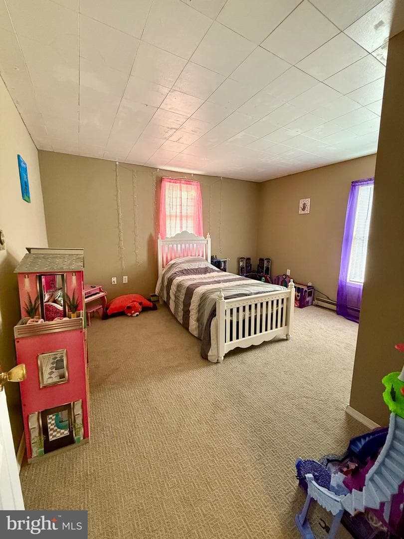 10124 Hummingbird Street photo 28