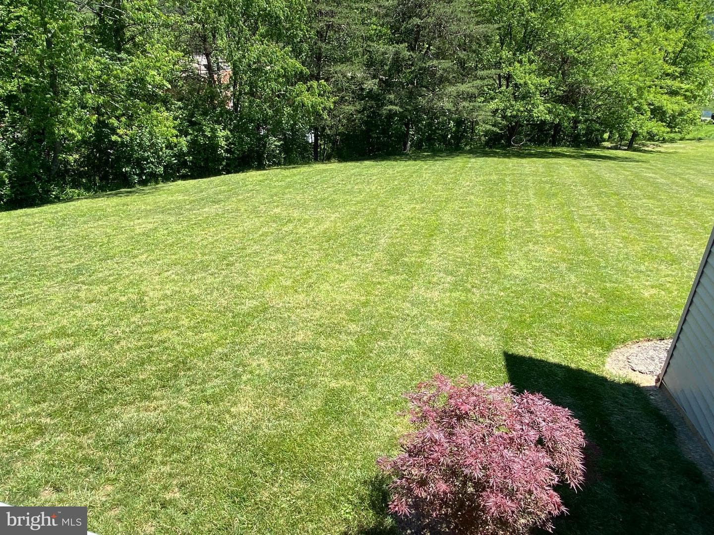 10316 Christie Road NE photo 53