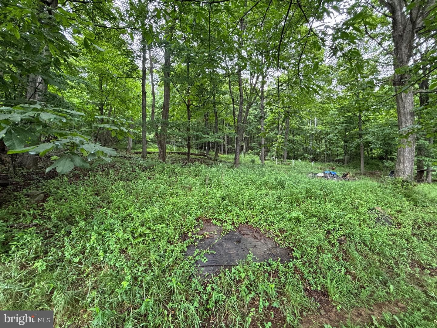 17211 Mount Savage Road NW photo 37