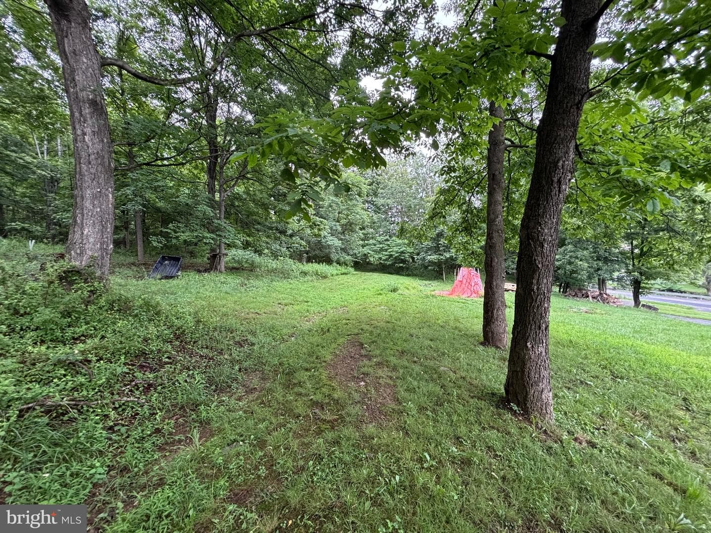17211 Mount Savage Road NW photo 38