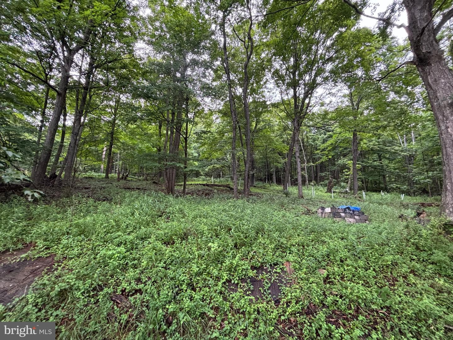 17211 Mount Savage Road NW photo 39