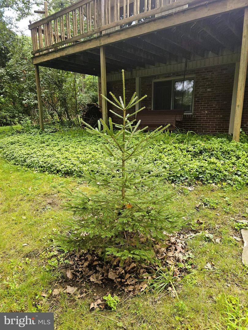 23 Sunset Drive photo 24