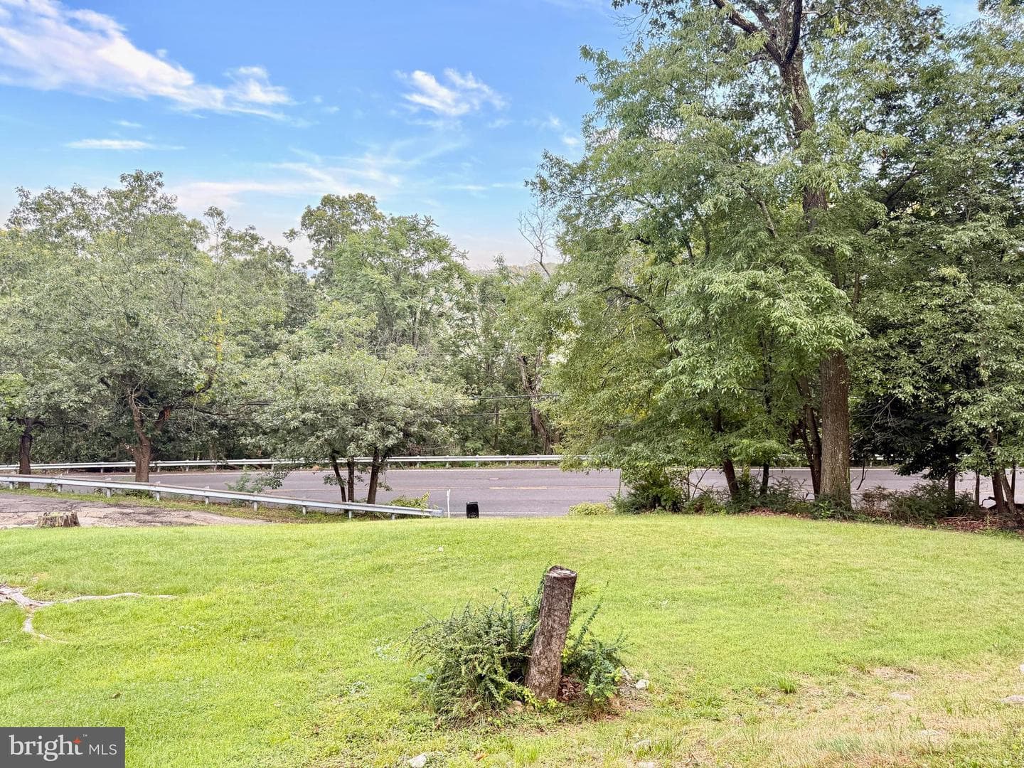 1027 Braddock Road photo 26